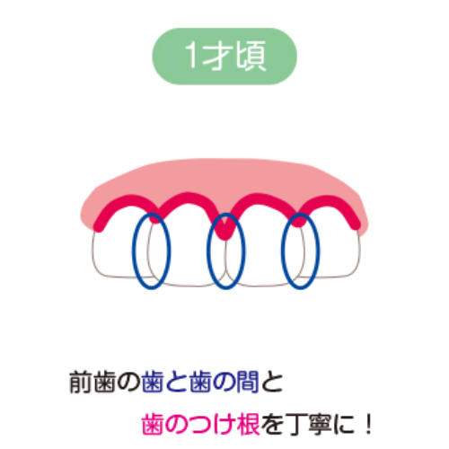 仕上げ磨きのやり方は？年齢別に気を付けるポイントや歯ブラシの選び方を解説